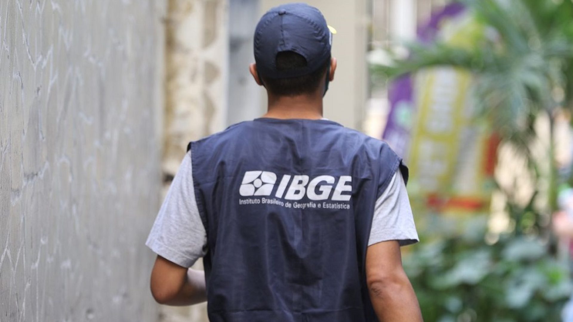 ibge-tania-Rego-abr