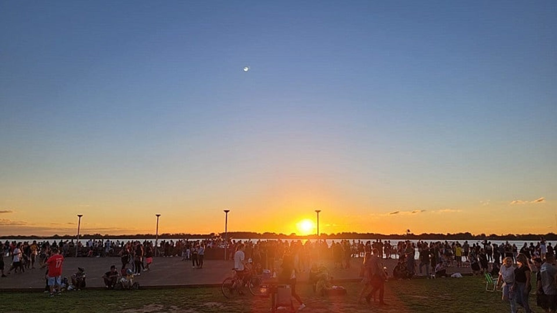 image_processing20230627-13764-1c7mxsv