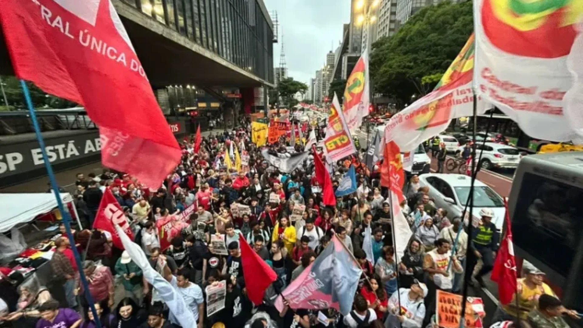 image_processing20241210-2385620-91p87u-750x536