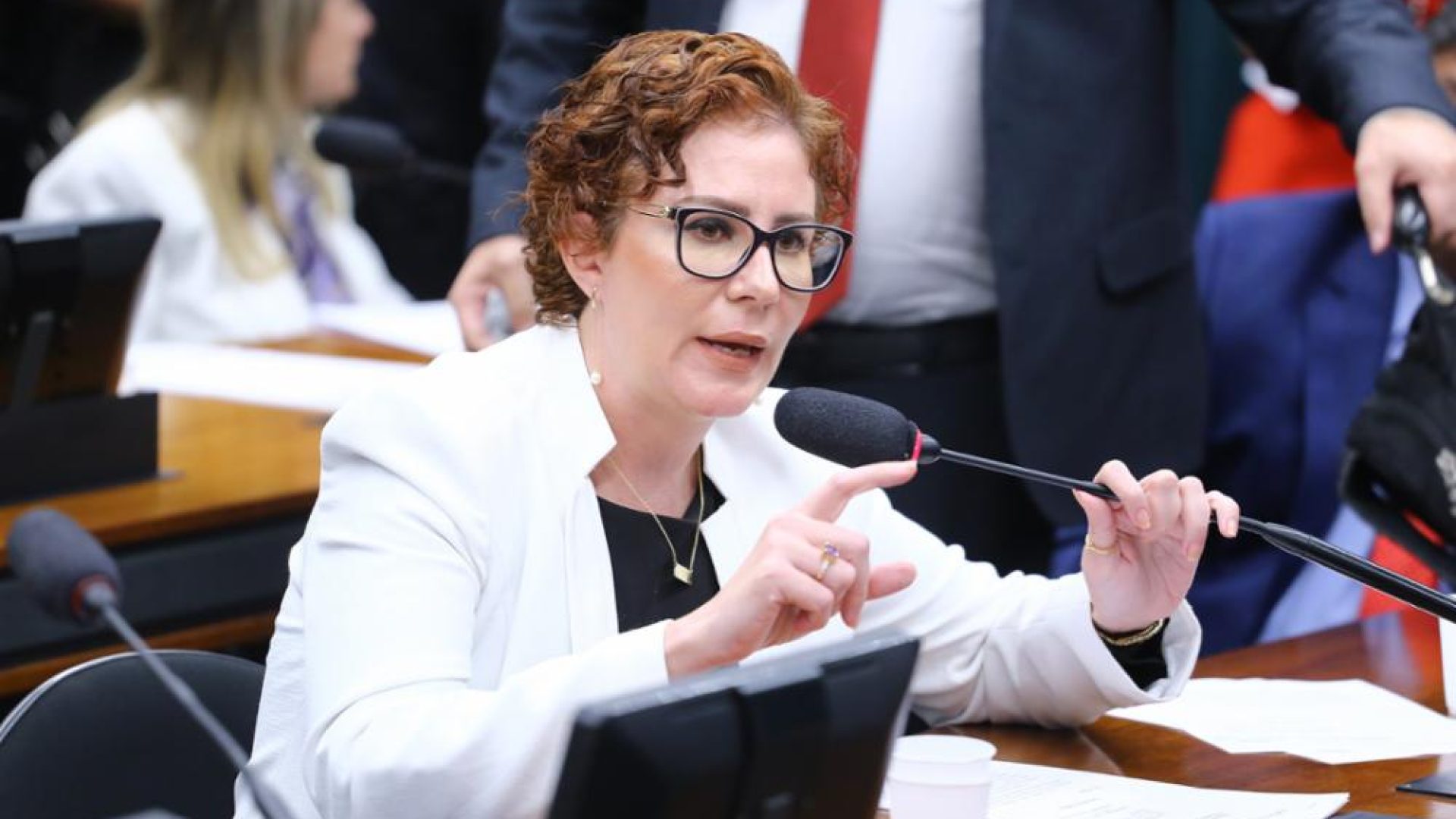 zambelli Vinicius Loures/Câmara dos Deputados
