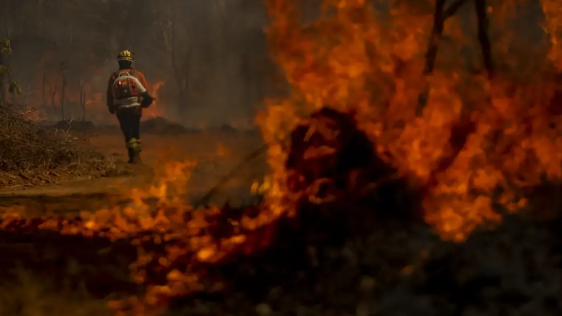 Brigadistas do Instituto Brasília Ambiental e Bombeiros do Distrito Federal combatem incêndio em área de cerrado próxima ao aeroporto de Brasília. Brasília (DF), 24/08/2024 - Foto: Marcelo Camargo/Agência Brasil