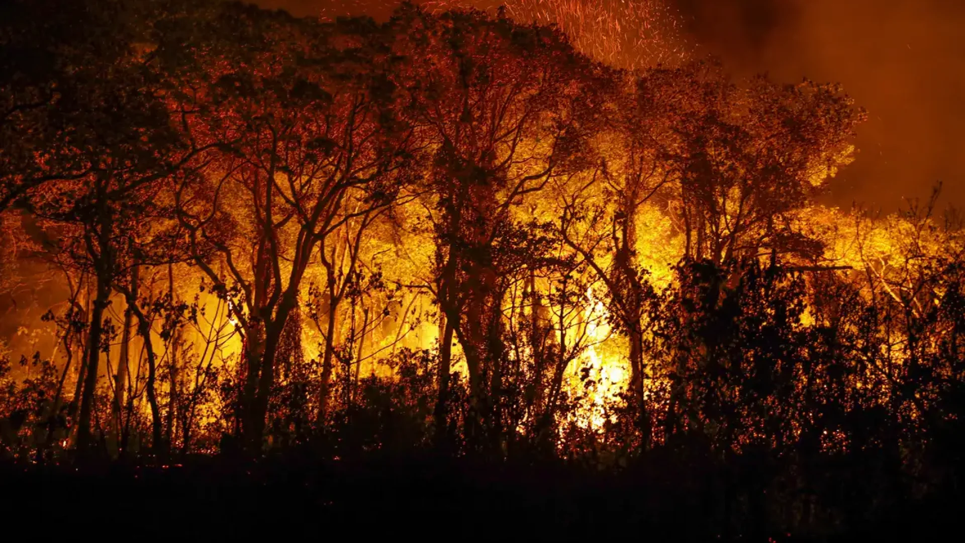 Foto: Joédson Alves/Agência Brasil