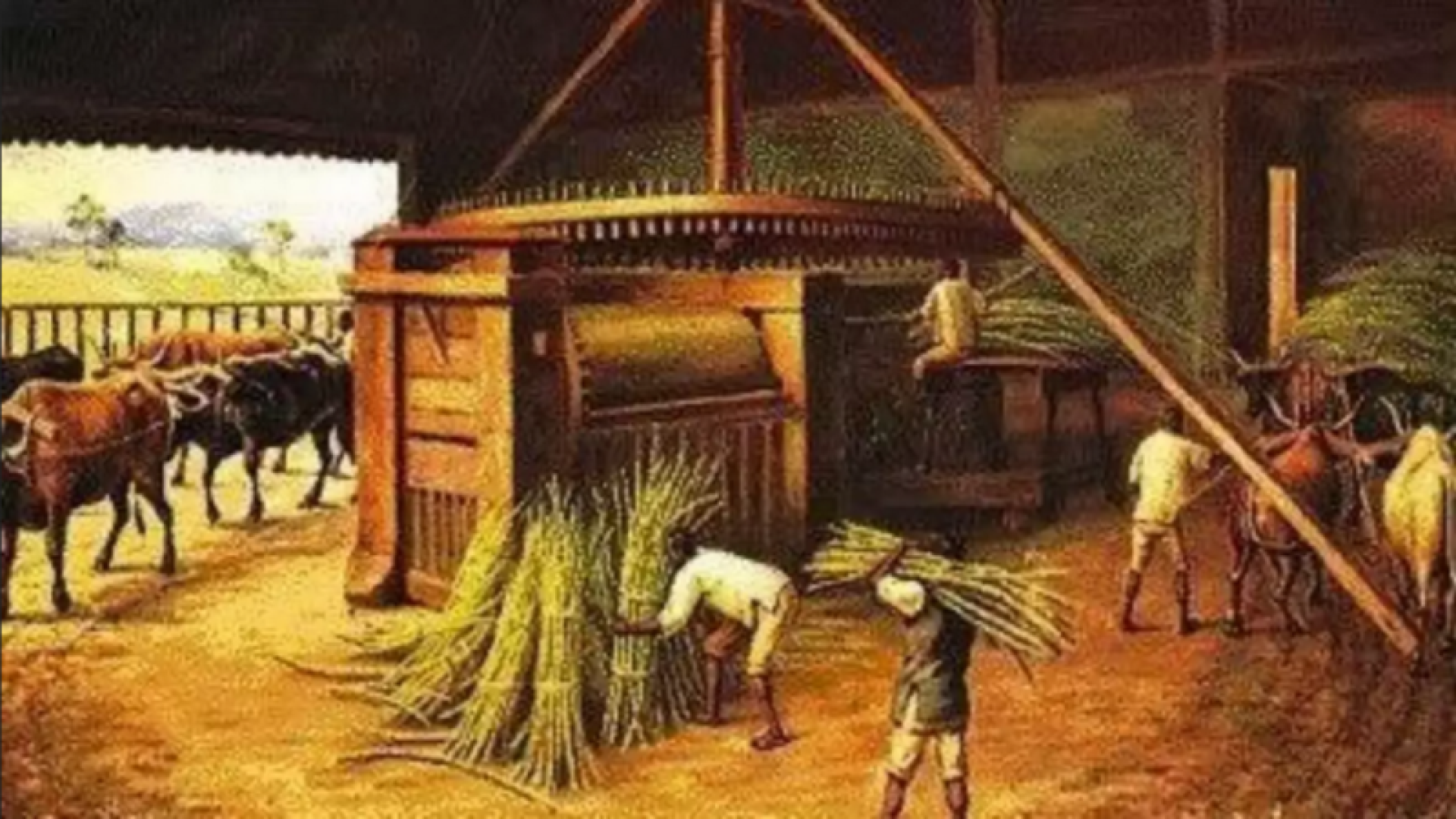 museu-escravidao-historia-e1677854024944