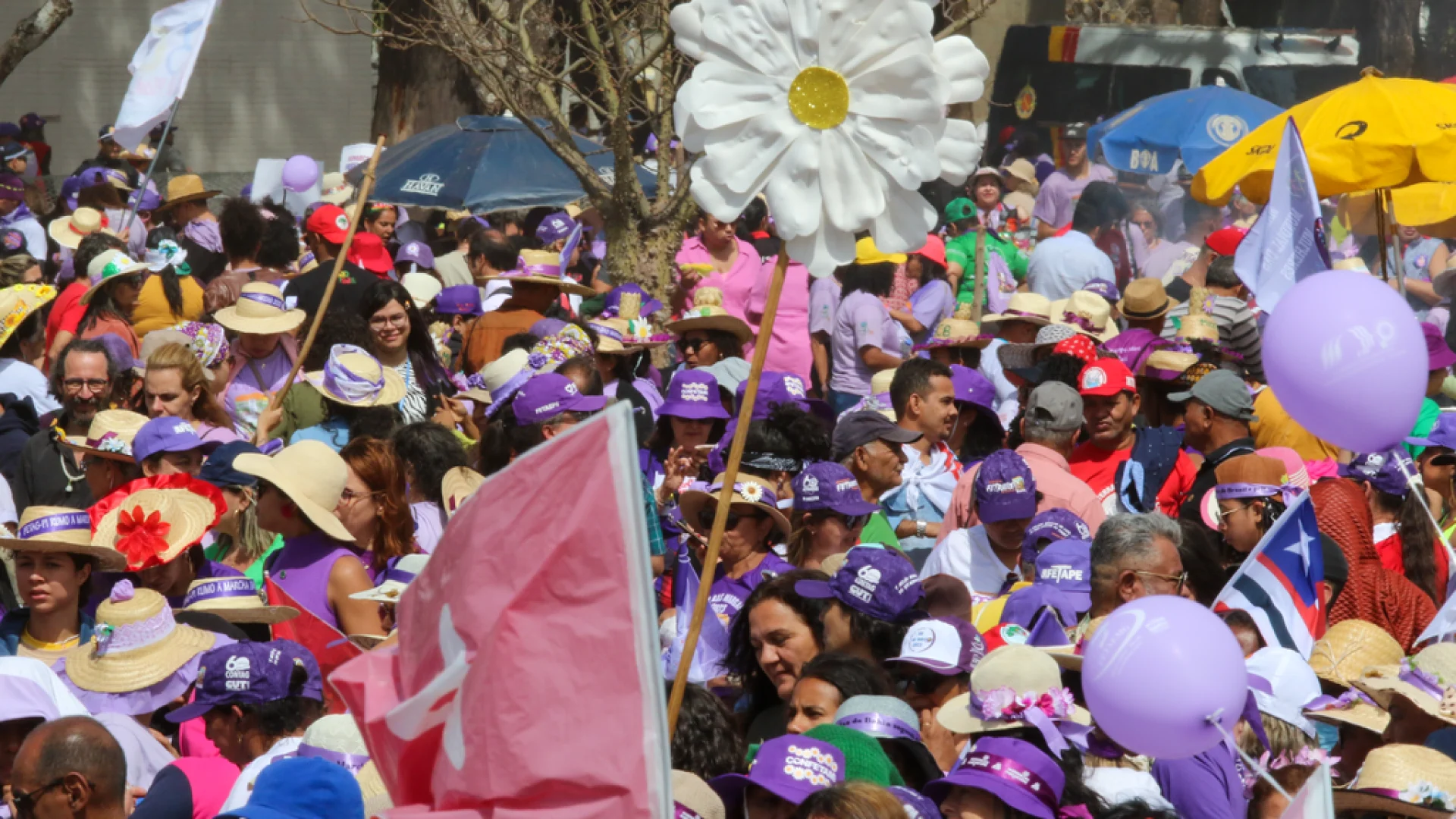 Imagem da Marcha das Margaridas em Brasília, em 16/08/23. Foto: Fabio Rodrigues-Pozzebom/ Agência Brasil.