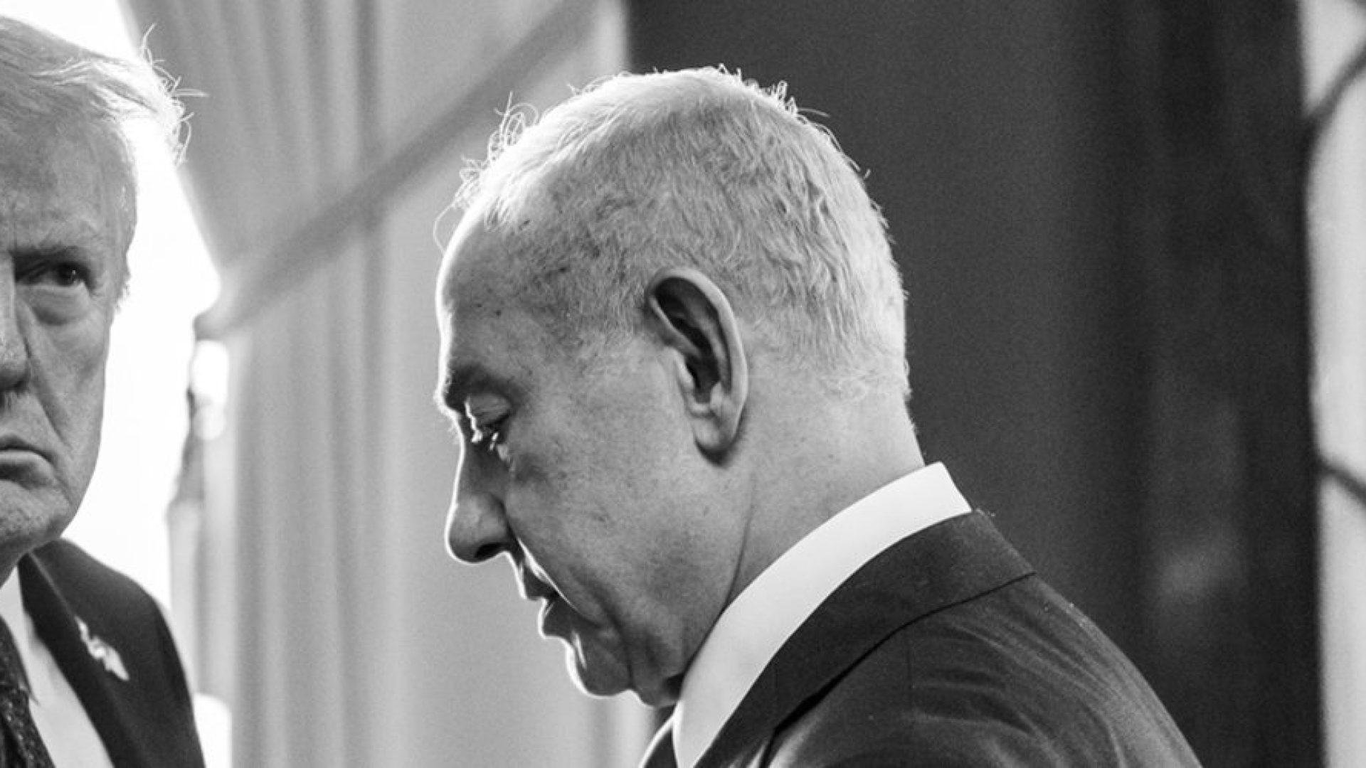 trump-pressao-global-palestina-e1760378786813