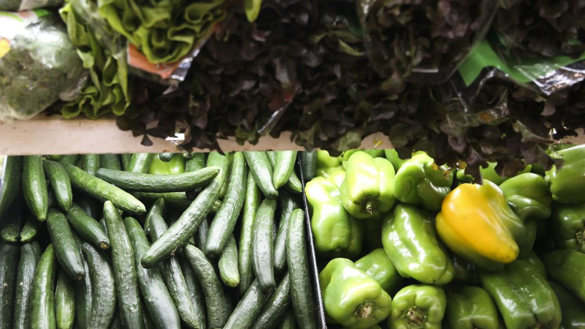 Hortaliças, legumes e verduras são termos utilizados para designar produtos nutricionais, agrícolas e culinários que se referem a plantas ou partes destas, geralmente consumidas por humanos como alimento. A produção familiar ou em pequena escala de hortaliças é feita em hortas