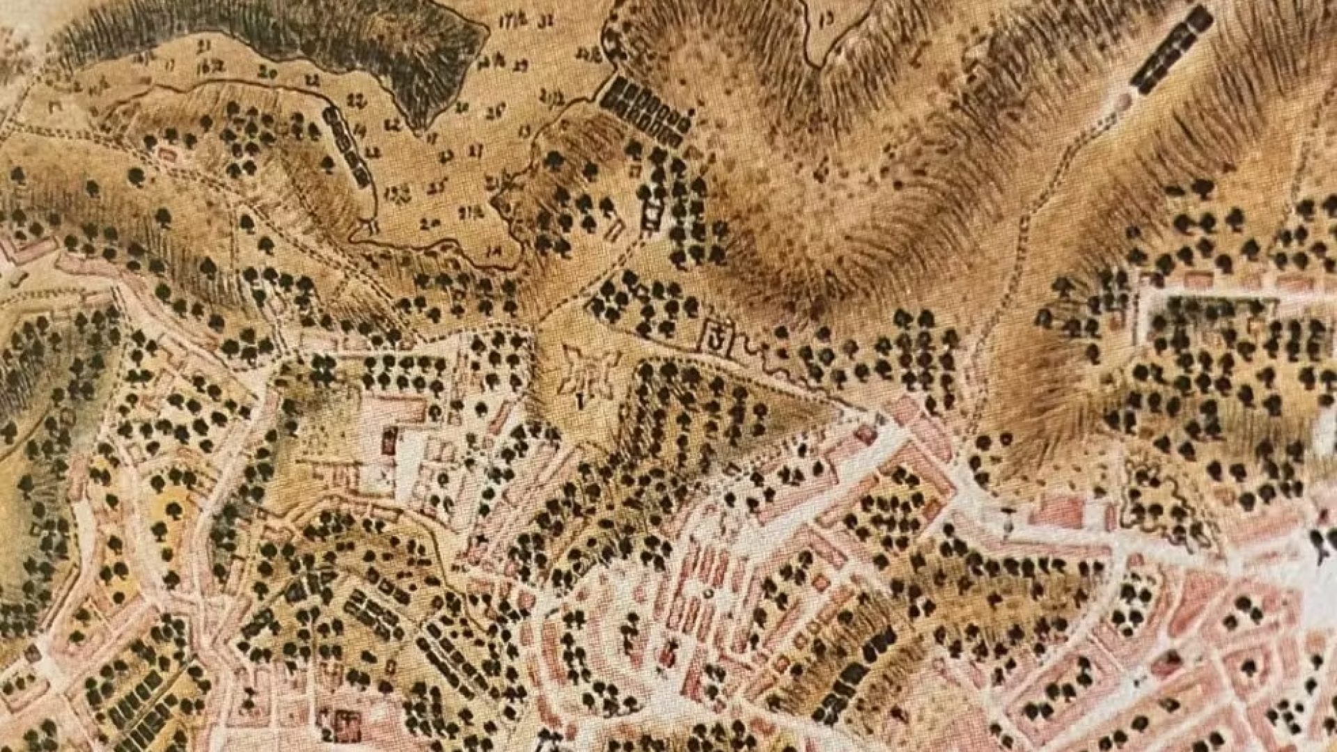 whatsapp-image-2025-02-04-at-15.32.05