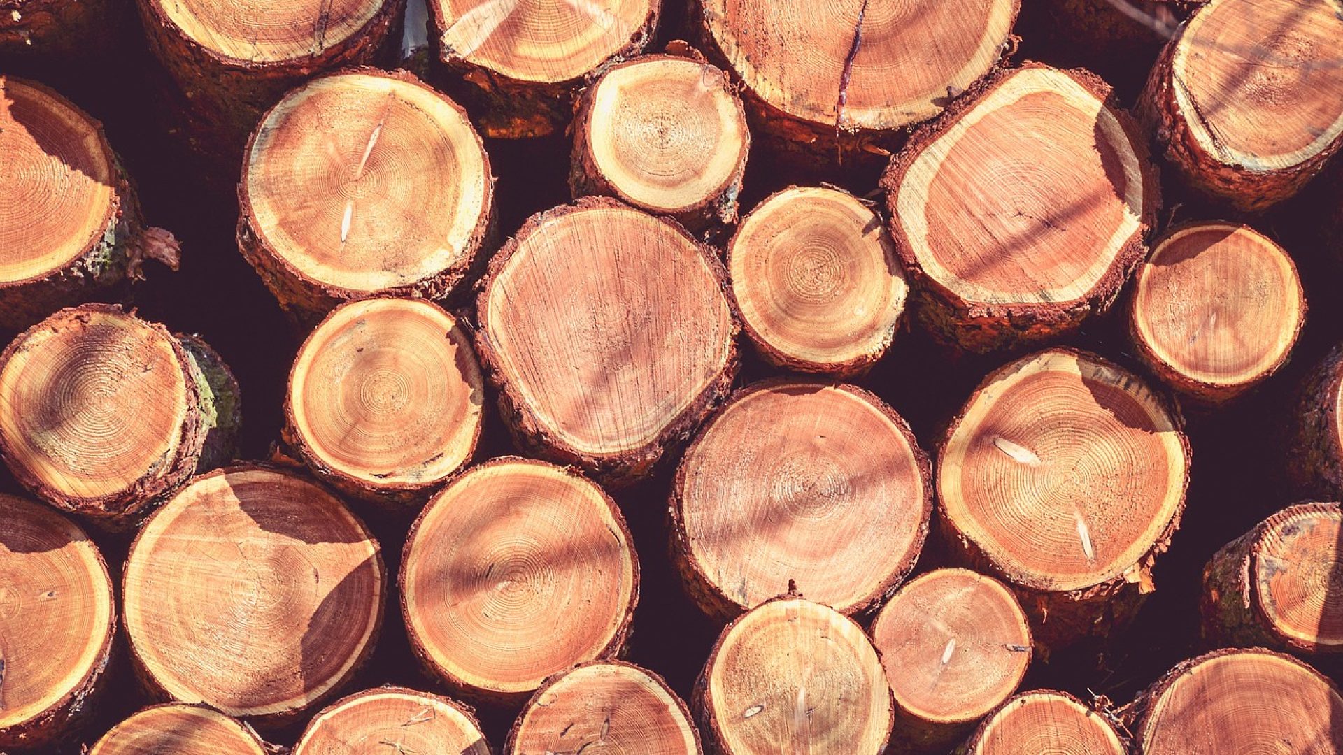 wood-2071179_1280